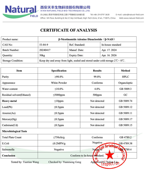 20 g NAD+ (Nicotinamide Adenine Dinucleotide) - reines steril verpacktes Pulver - CAS 53-84-9